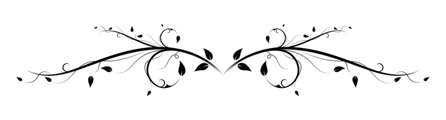 calligraphic floral divider ornament