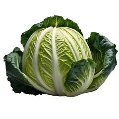Fototapeta premium Healthy Organic Cabbage