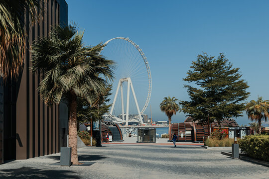 Ferris wheel at beach on a clear day with blue sky and palm trees