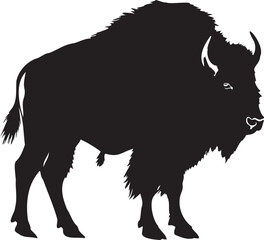 Bison Black Silhouette on white background