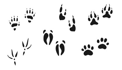 animal foot print icon