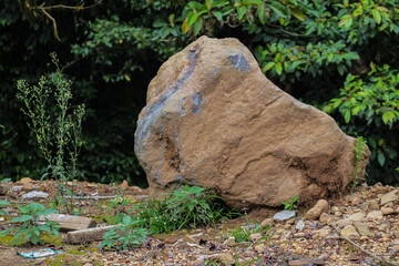 Large stones on the ground in the forest