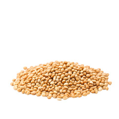 Fototapeta premium sesame isolated on transparent background