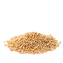 Fototapeta premium sesame isolated on transparent background