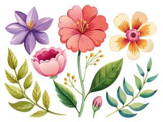 set of separate parts of flowers in watercolors