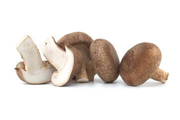 Close up of shiitake mushrooms isolated on a white background