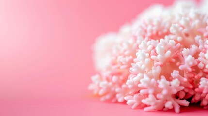 Obraz premium A pink surface with a light pink background is adorned with a cluster of pink and white sprinkles