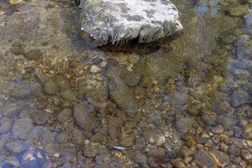 A shallow riverbed with an exposed rocky bottom, a small stream and a flow of water, autumn in...