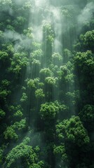 Obraz premium comic book render, arial shot, overhead view of a large dense forest, arial shot 