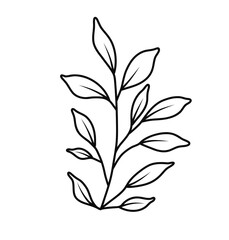 Floral Line Art