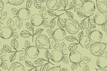 seamless pattern guava vector drawing