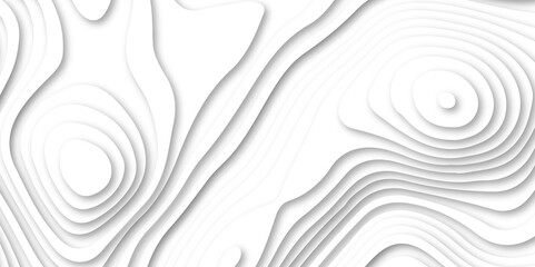 Abstract white color papercut realistic decoration texture design. modern white 3d luxury papercut wave line pattern background. geometry wallpaper, banner, poster vector illustration .