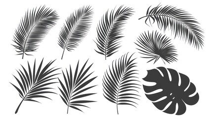 Tropical Leaf Silhouettes