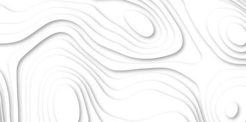 Abstract white color papercut realistic decoration texture design. modern white 3d luxury papercut wave line pattern background. geometry wallpaper, banner, poster vector illustration .