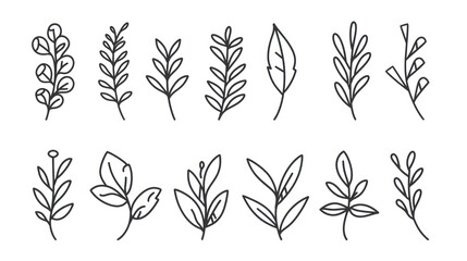 Collection of Floral Line Art Illustrations