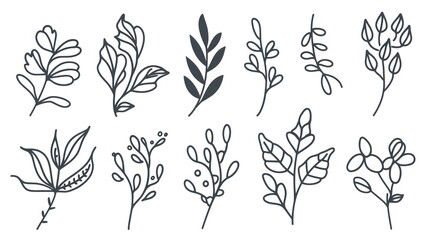 Set of hand drawn floral branches