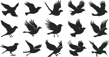 Various Flying birds vector set icons silhouettes style with white background