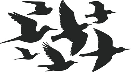 Various Flying birds vector set icons silhouettes style with white background