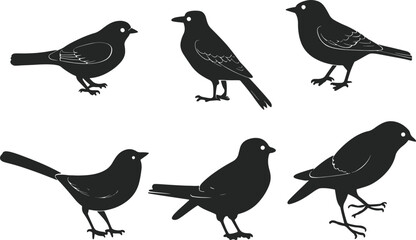 Various Flying birds vector set icons silhouettes style with white background