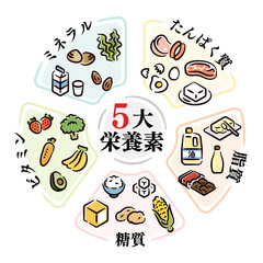 Fototapeta premium 五大栄養素