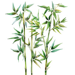 Obraz premium Realistic Bamboo Illustration with Green Leaves