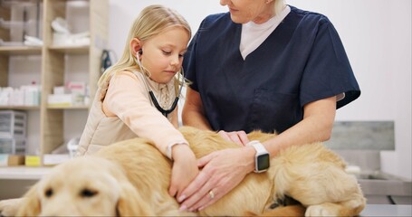 Child, veterinarian and dog in clinic with woman, stethoscope and listening for heartbeat...
