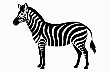 zebra vector illustration