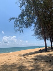 beach with trees