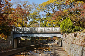兵庫県西宮市 秋の夙川公園 翠橋