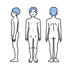 シンプル　イラスト　男性のヌードの全身の正面と後ろ姿と横向き　