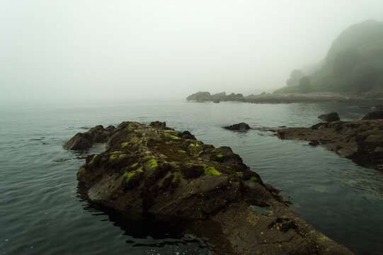 misty morning on the coast: Causeway Coast, County Antrim, Northern Ireland, United Kingdom 
