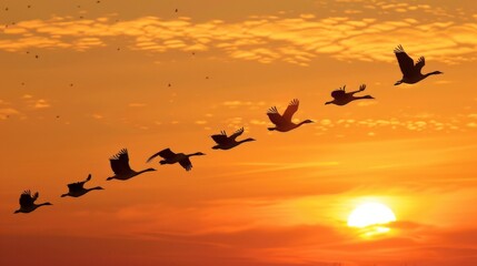 Fototapeta premium Discuss the significance of migratory patterns in birds.