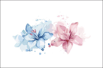 Stunning Multicolor Watercolor Flowers