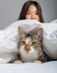 부드러운 눈을 가진 작은 고양이만 침대 시트 사이에 숨어 있고 머리를 옆으로 보고 있습니다.