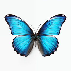 Obraz premium Beautiful Blue Butterfly With Detailed Wing Patterns On White Background