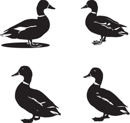 Duck and Ducklings Silhouette