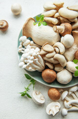 Assortment of various raw mushrooms on gray concrete background.