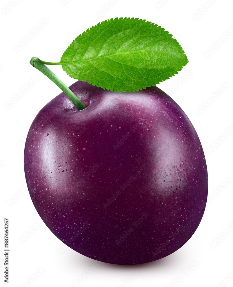 Poster plum isolated on white background