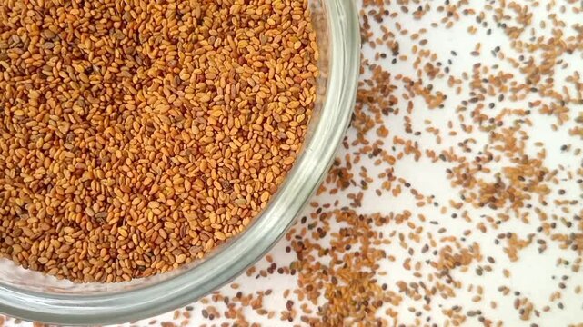 Fenugreek seeds in a glass bowl rotating top left corner with spices spilled around it, white background, closeup, herbs and spices.