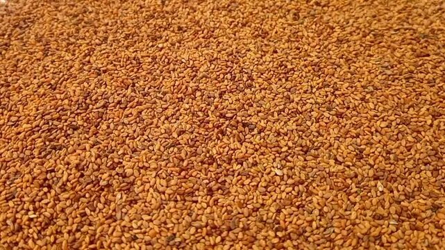 Fenugreek seeds rotating full frame background, side view looped spinning, close up, herbs and spices.