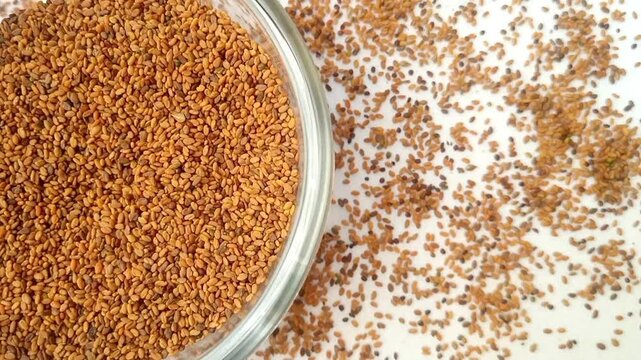 Half of circle shaped Fenugreek seeds glass bowl spices spilled around it, left half of the frame, rotating, white background, closeup, herbs and spices.