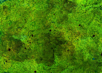 Abstract texture background of different shades of green. Black and ocher dots, spots. Cold and warm shades of green. Chaotic spots and blurs. Darker in places, lighter in places. Wavy shapes.