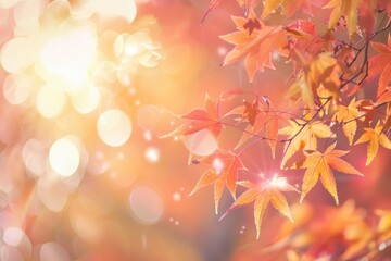 Bokeh Effects: Creates a soft, dreamy background autumn leaves and sun flare