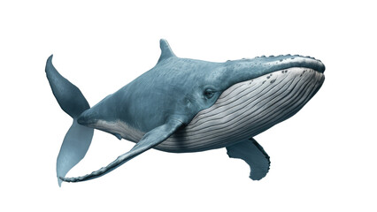 Fototapeta premium Isolated PNG Big Whale, GENERATIVE AI