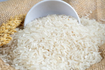 close up of pile of rice on gunny sack with mini bowl and stalk of rice plant
