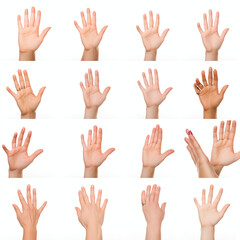 Collection of Various Human Hands Raised in Different Gestures Isolated on White Background