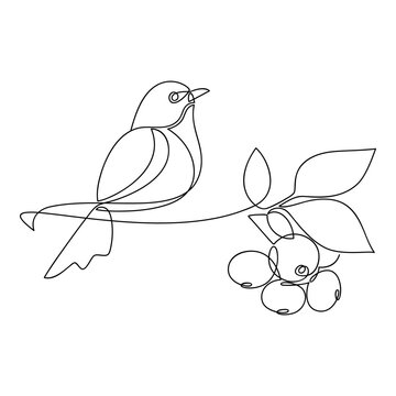 recommend clip art: Hand drawn bird vector. One line continuous branch with leaves and berries. Cartoon linear illustration, minimal icon, print, banner, card, poster, brochure, doodle, sign, outline symbol.