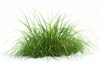 A close-up shot of lush green grass sitting on top of a white surface, great for decorative or design use