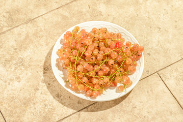 white currant on a white plate
