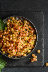 white currant on a black plate